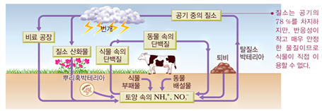 화평화학 이미지