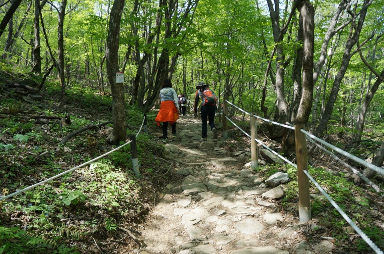 점봉산민박 이미지