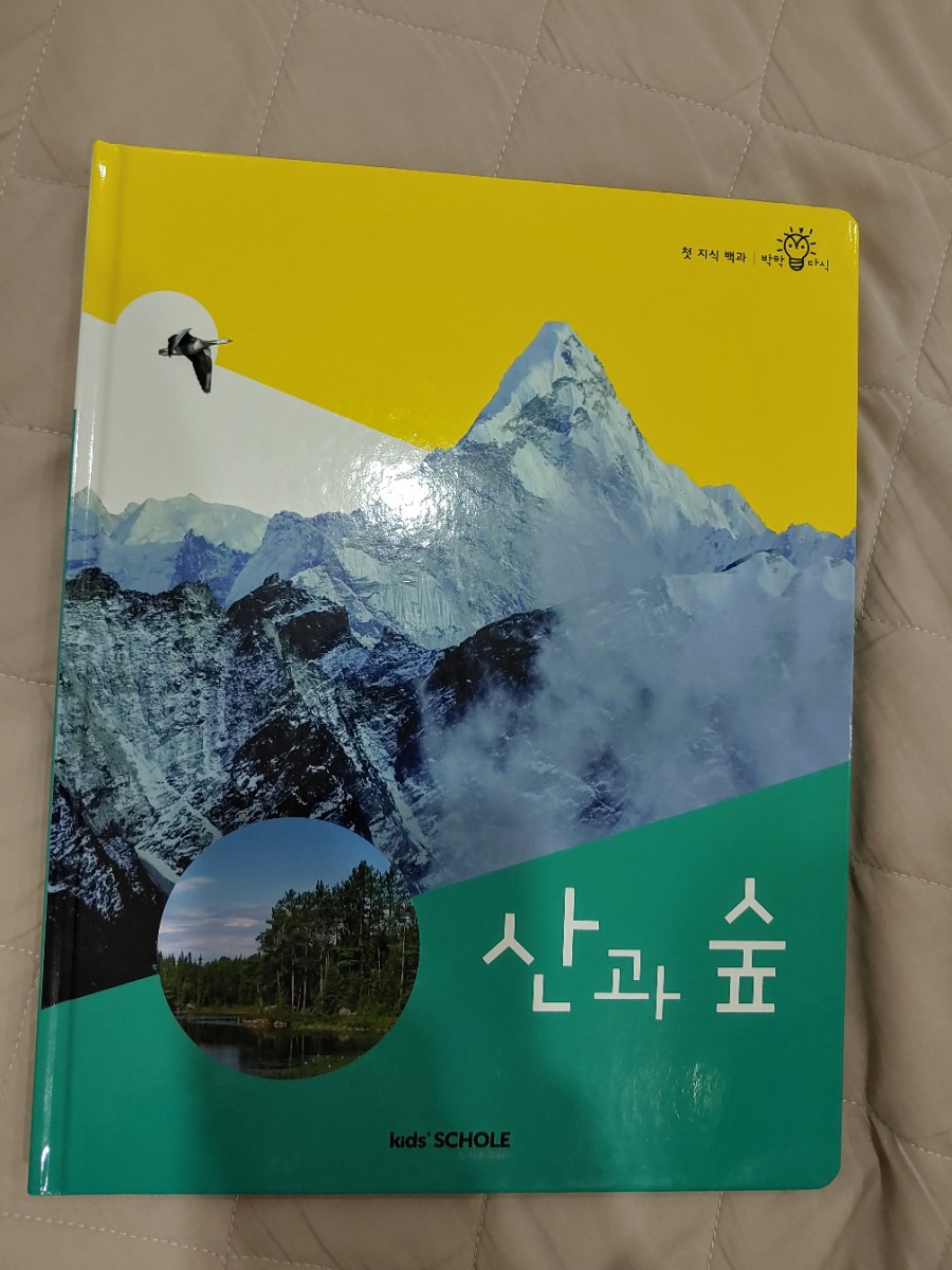 산과숲 이미지