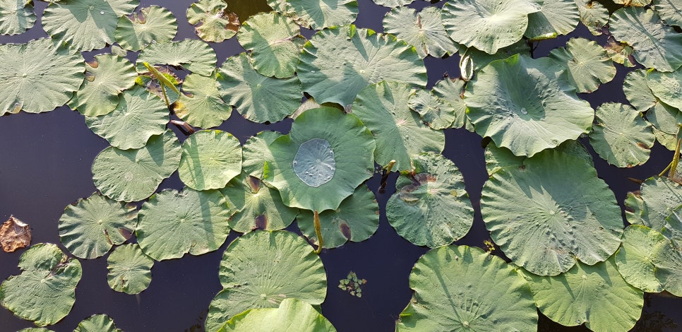 더럭초등학교 이미지