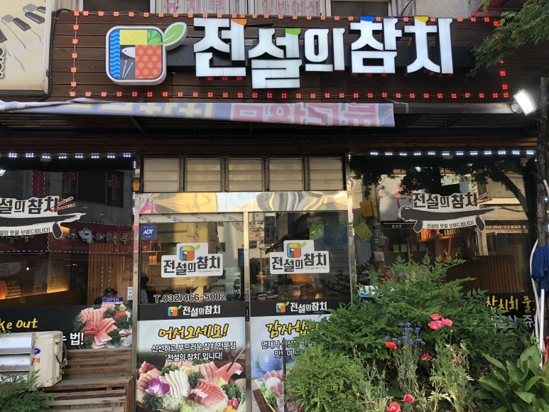 전설의참치 이미지