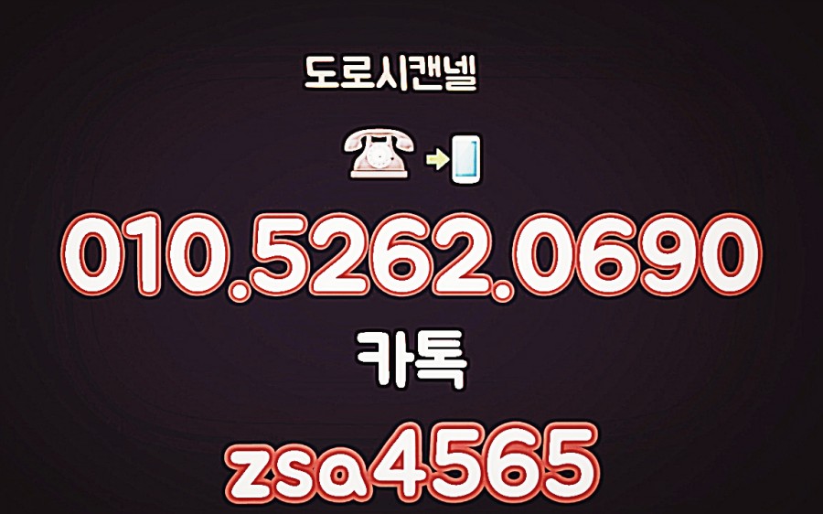 미니도로시 이미지