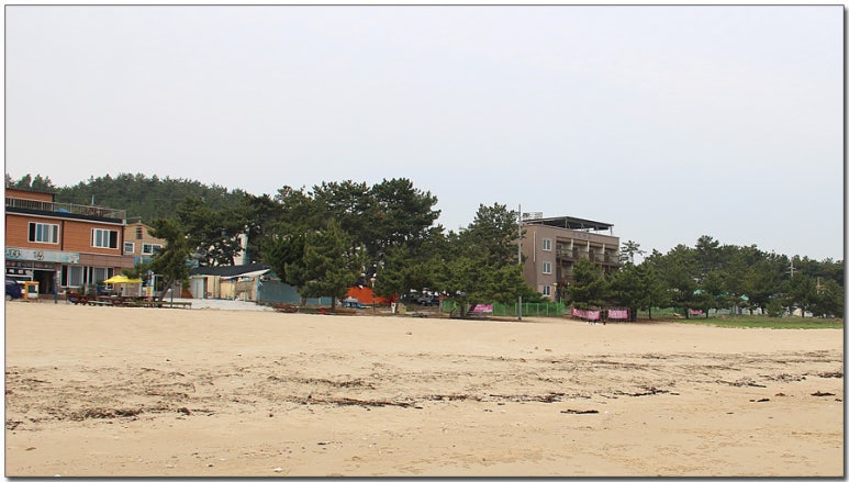 신지여행사 이미지