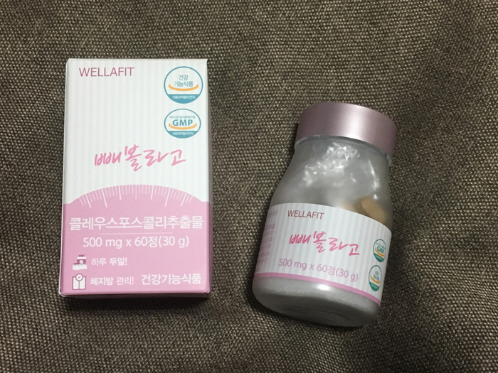웰라핏 이미지