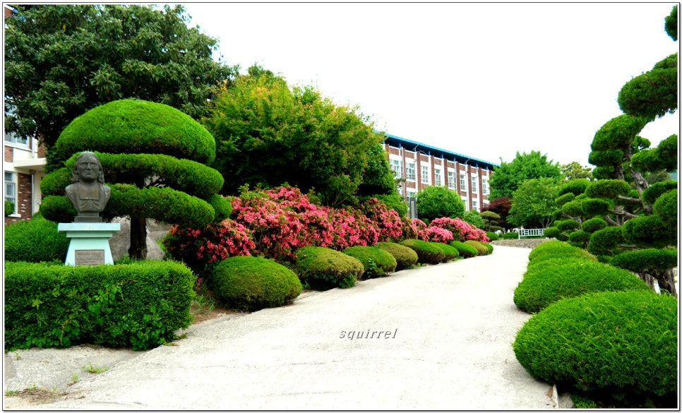 마리아회고등학교 이미지