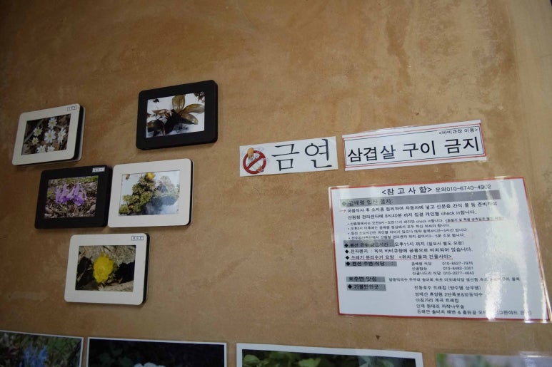 점봉산민박 이미지