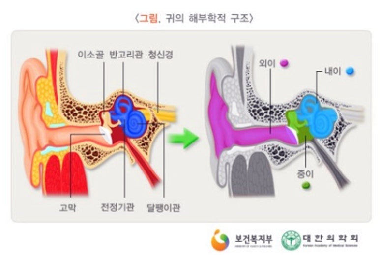 웰키즈소아청소년과의원 이미지