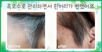 헤바베오 (Hebavepo) 이미지