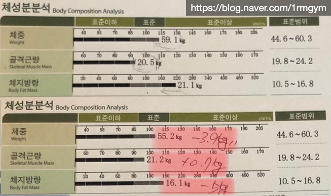 원알엠 이미지