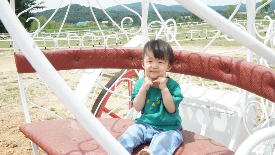 대관령주주파크 이미지