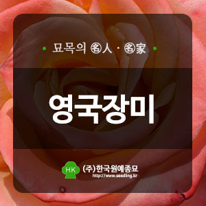 한국원예종묘 이미지