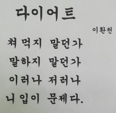 꼬꼬시티 이미지