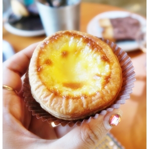 아낙203 이미지