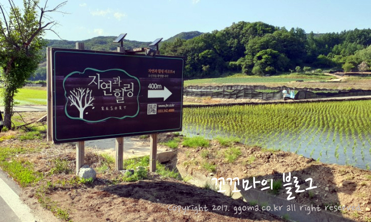 자연과힐링 이미지