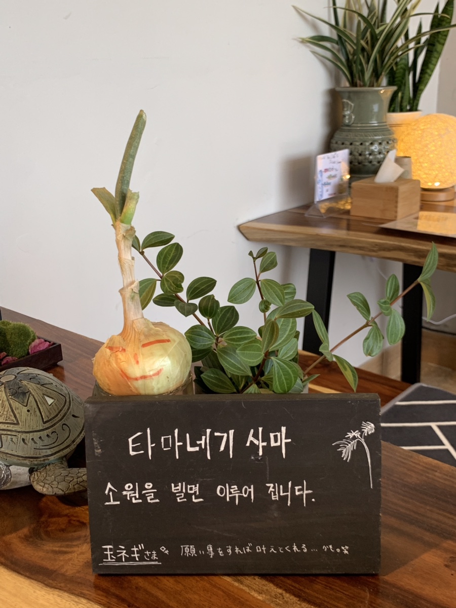 바자라 이미지