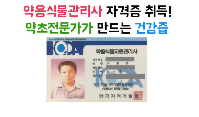 산드리약초 이미지