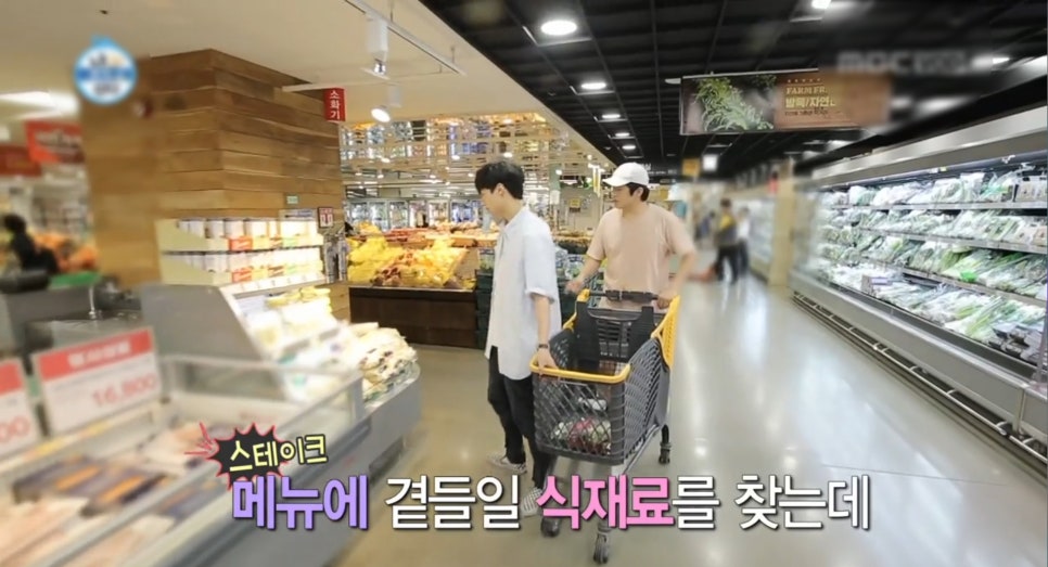 오일러스 이미지