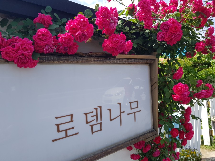 로뎀옷가게 이미지