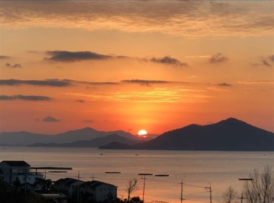 아라실 이미지