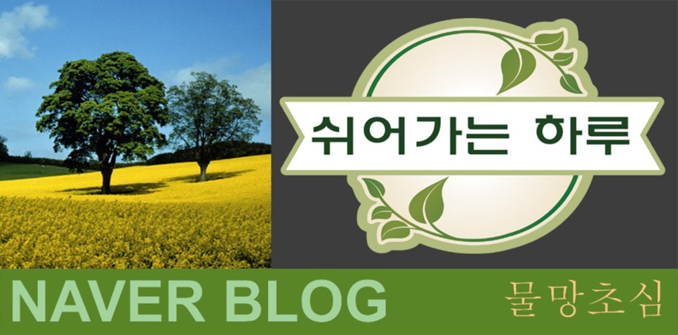 피자헛 대구감삼점 이미지