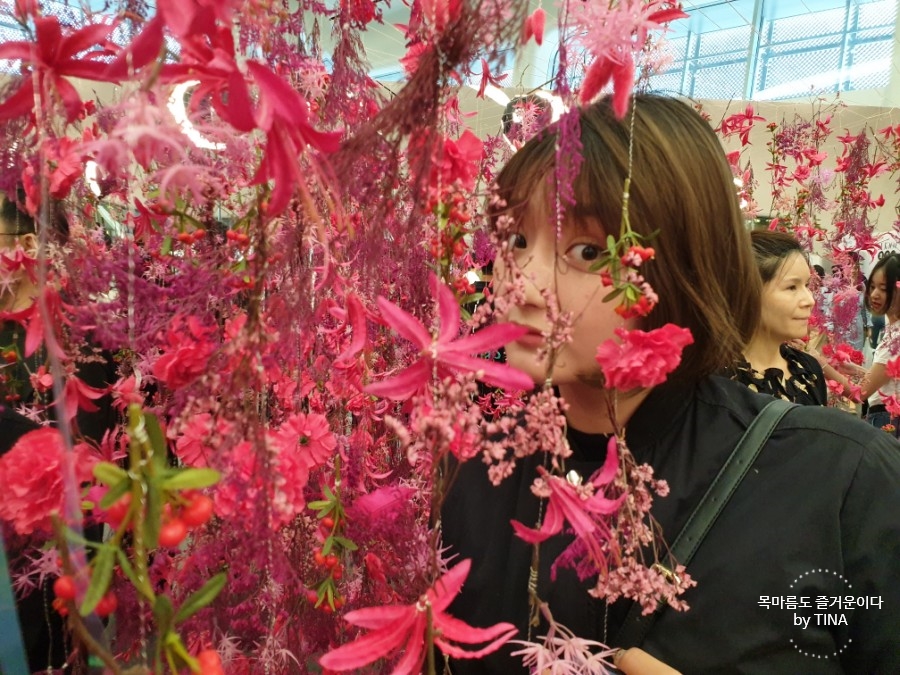 포어베 이미지