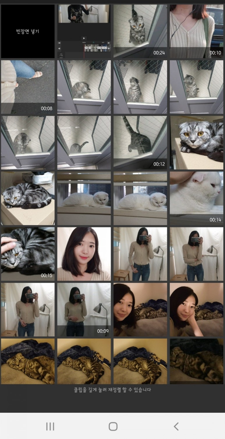 비모 이미지