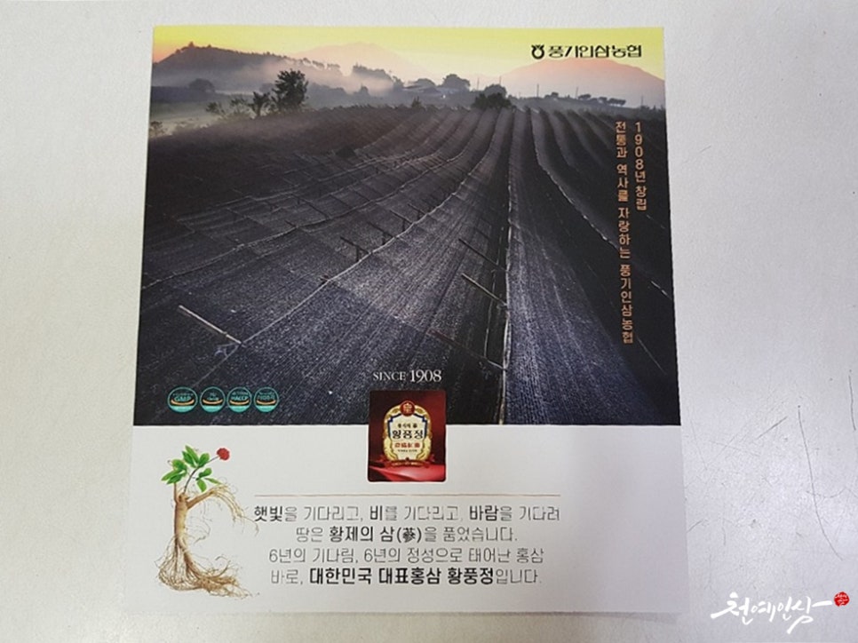 풍기인삼제조원 이미지