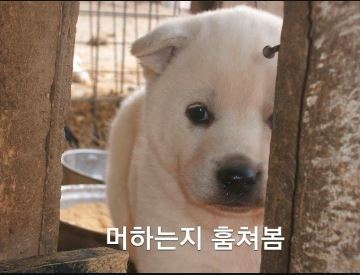 투스타 이미지