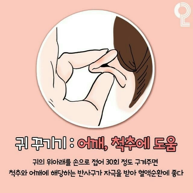 화서팀타이거복싱 이미지