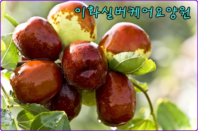 이화실버케어 이미지