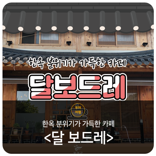 달 보드레 이미지