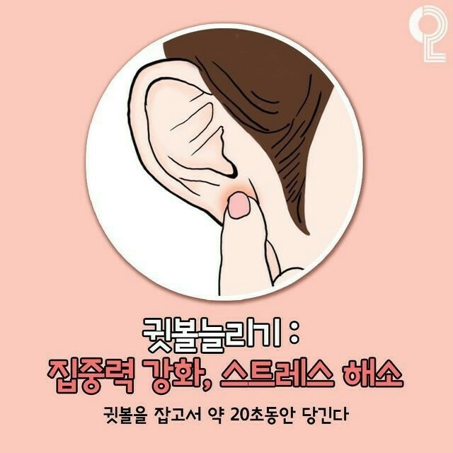 화서팀타이거복싱 이미지