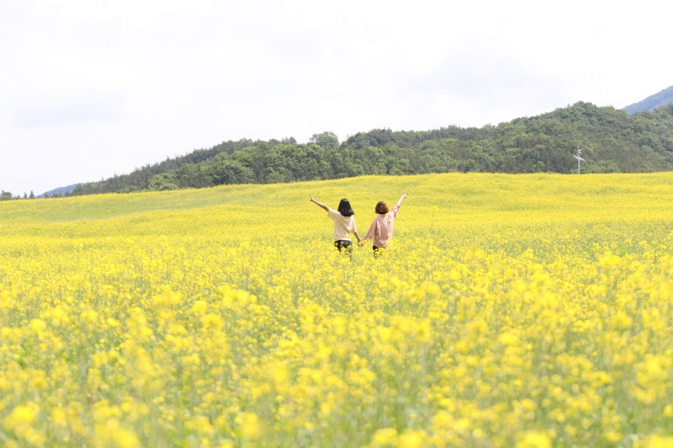 진안축산 이미지