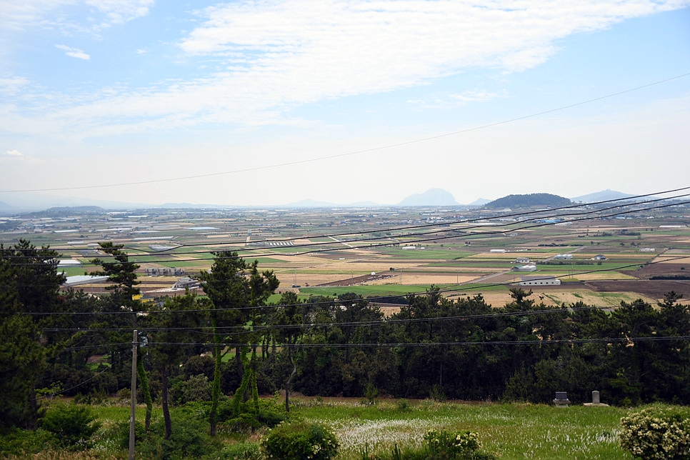 마시레흑돈 이미지