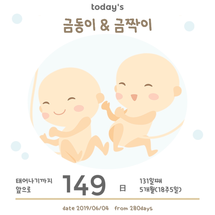 일란성 이란성 쌍둥이임신 자연분만 조건 정리 : 네이버 블로그