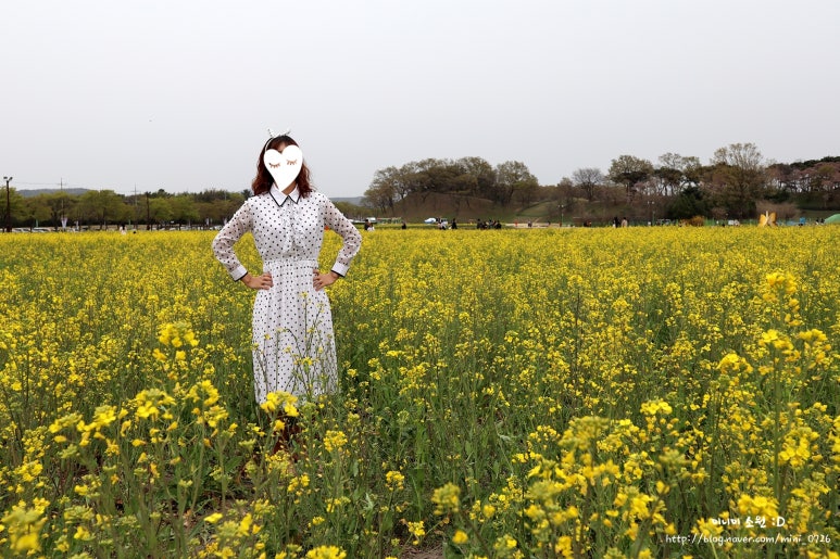 매로빈 이미지