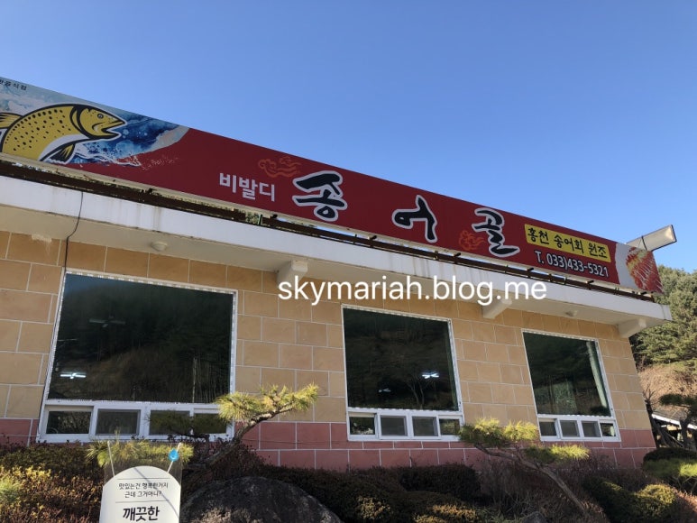 비발디송어골 이미지