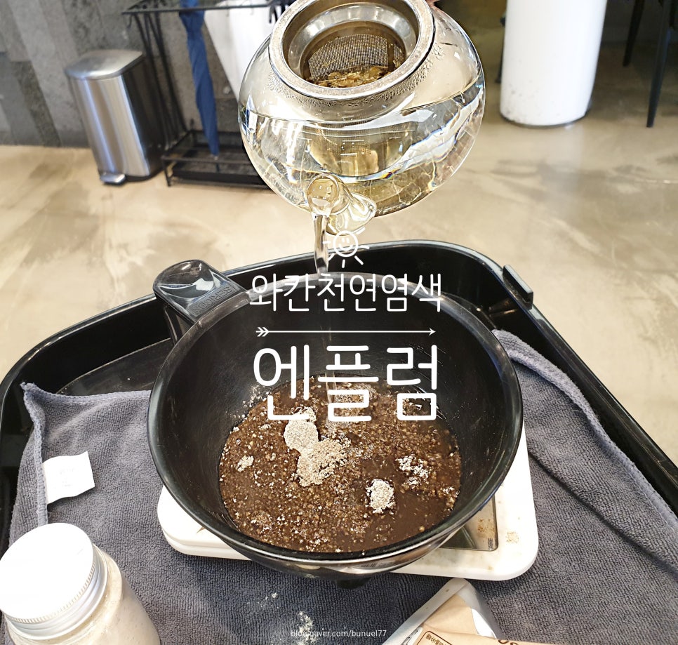 엔플럼 이미지