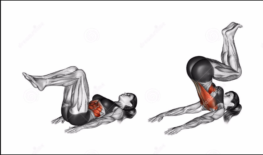 웅Gym 이미지