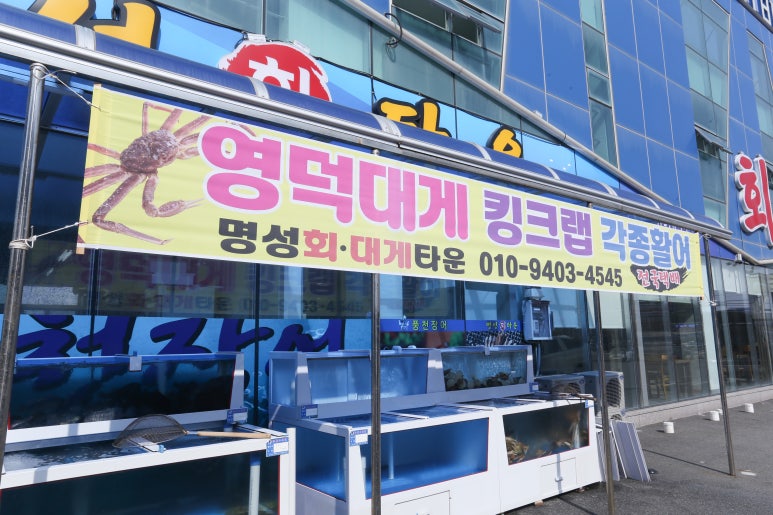 영덕횟집 이미지