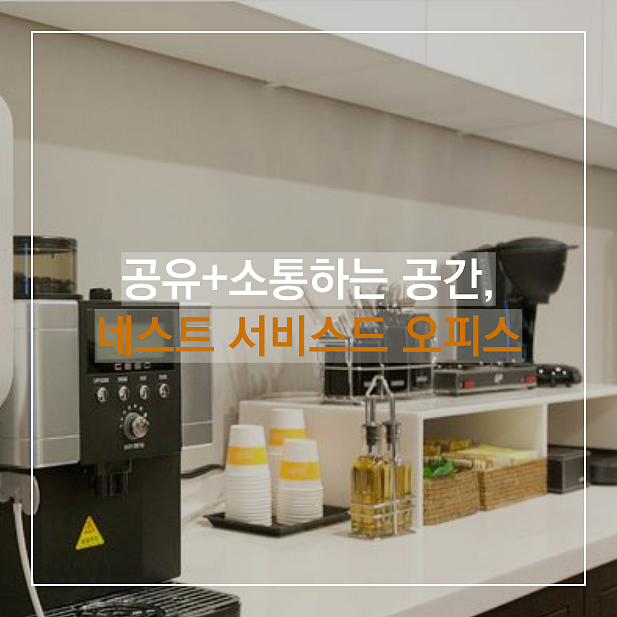 세무법인영진 이미지