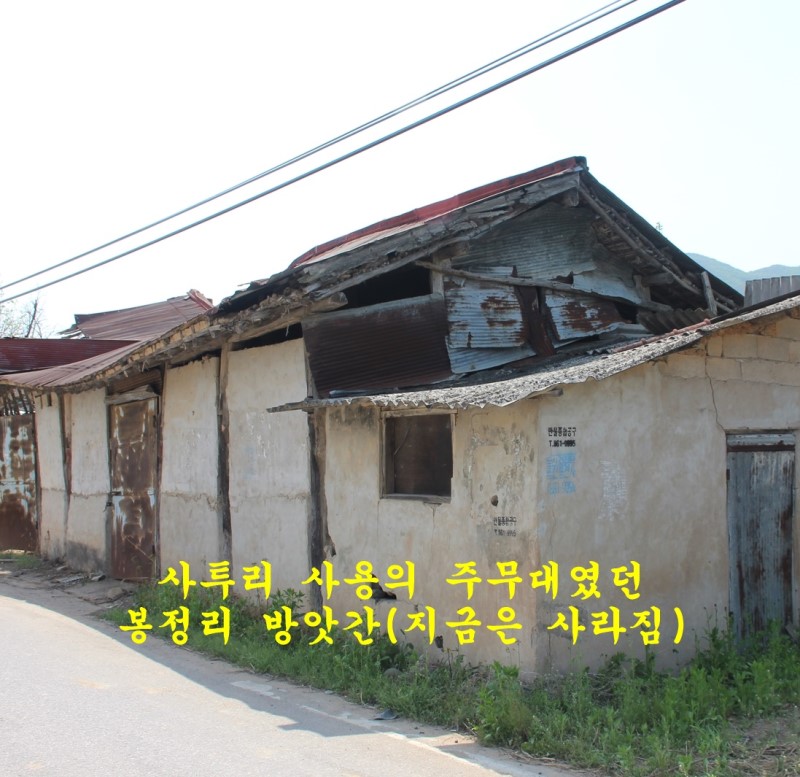 토속다인 이미지