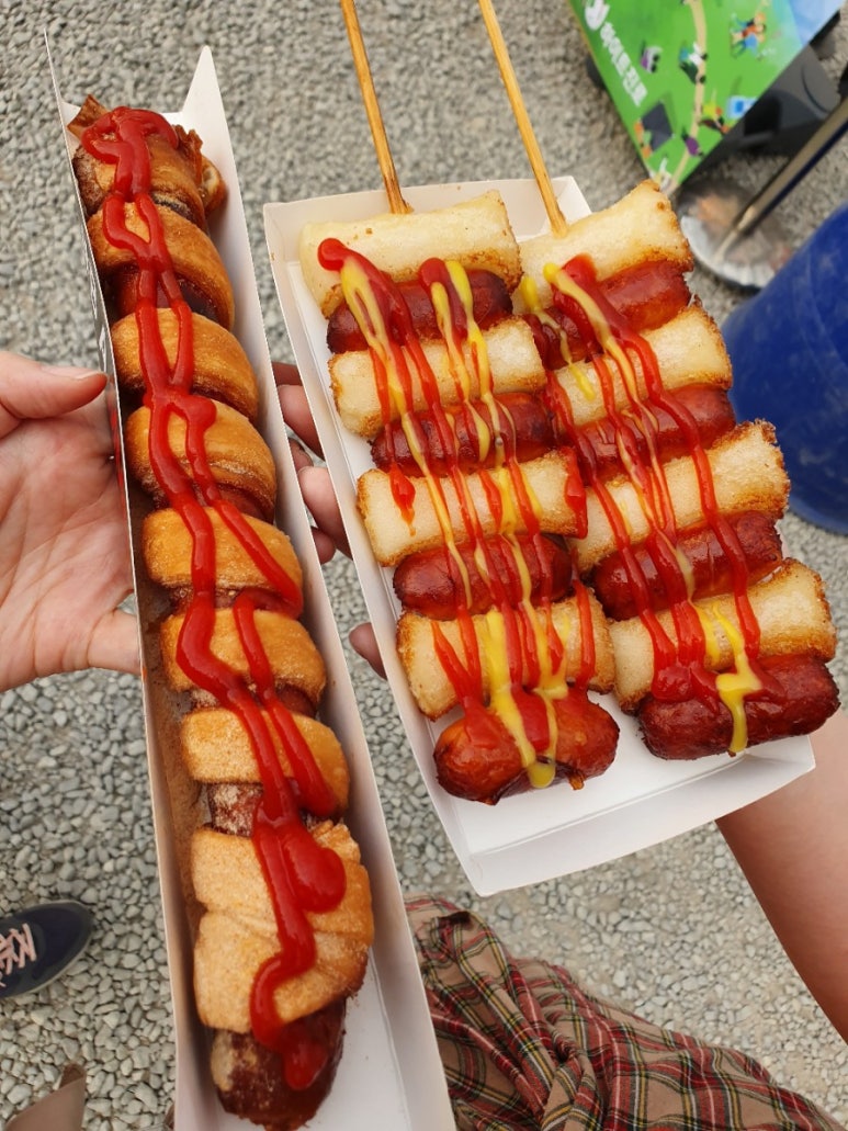포 라이브 이미지