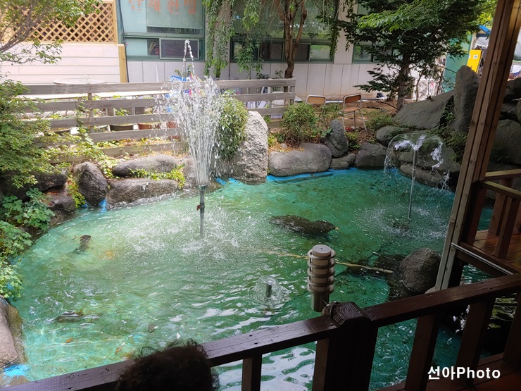 청솔식당 이미지
