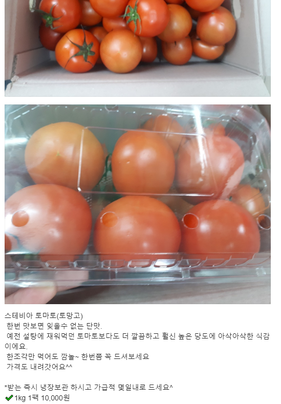 대지청과 이미지