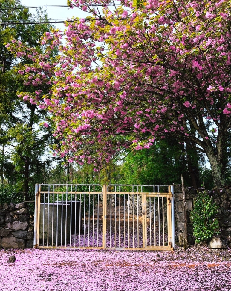 오색한옥펜션 이미지