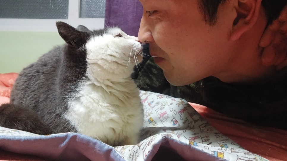 네꼬네공방 이미지