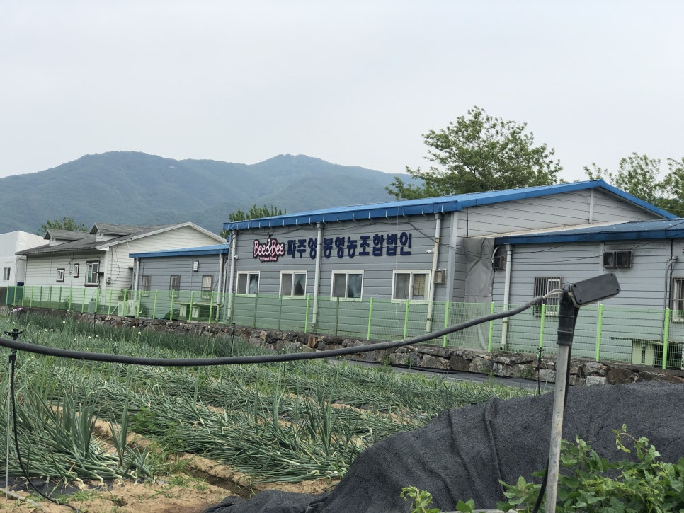 파주양봉영농조합법인 이미지