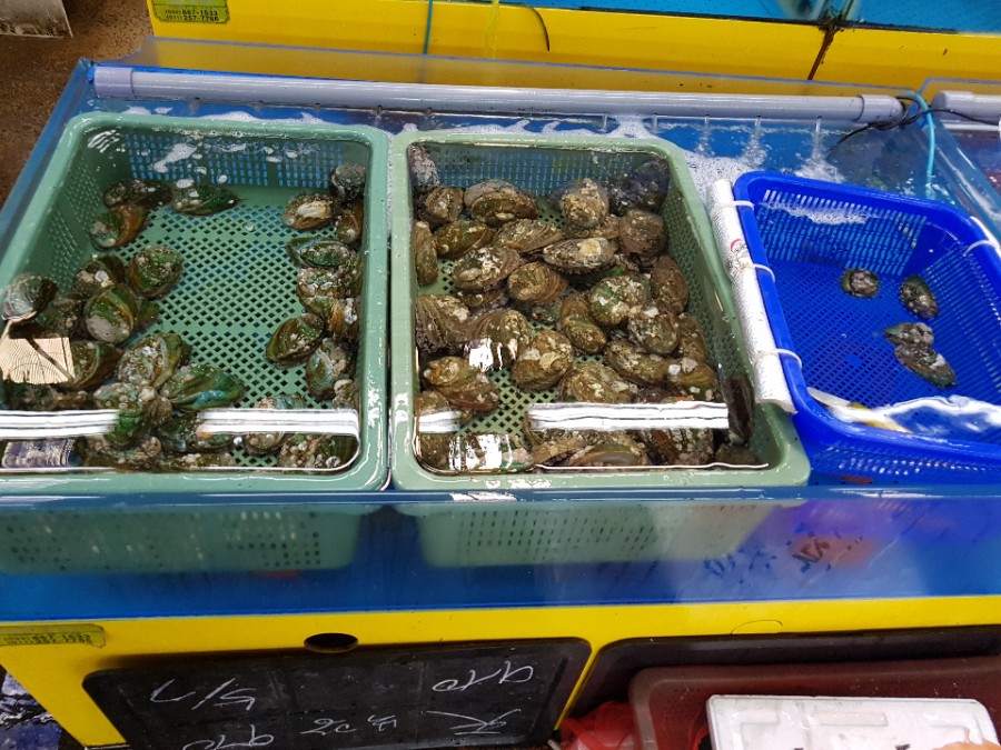 부광상사 이미지