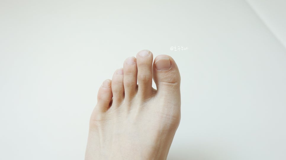 젤라또 팩토리 이미지